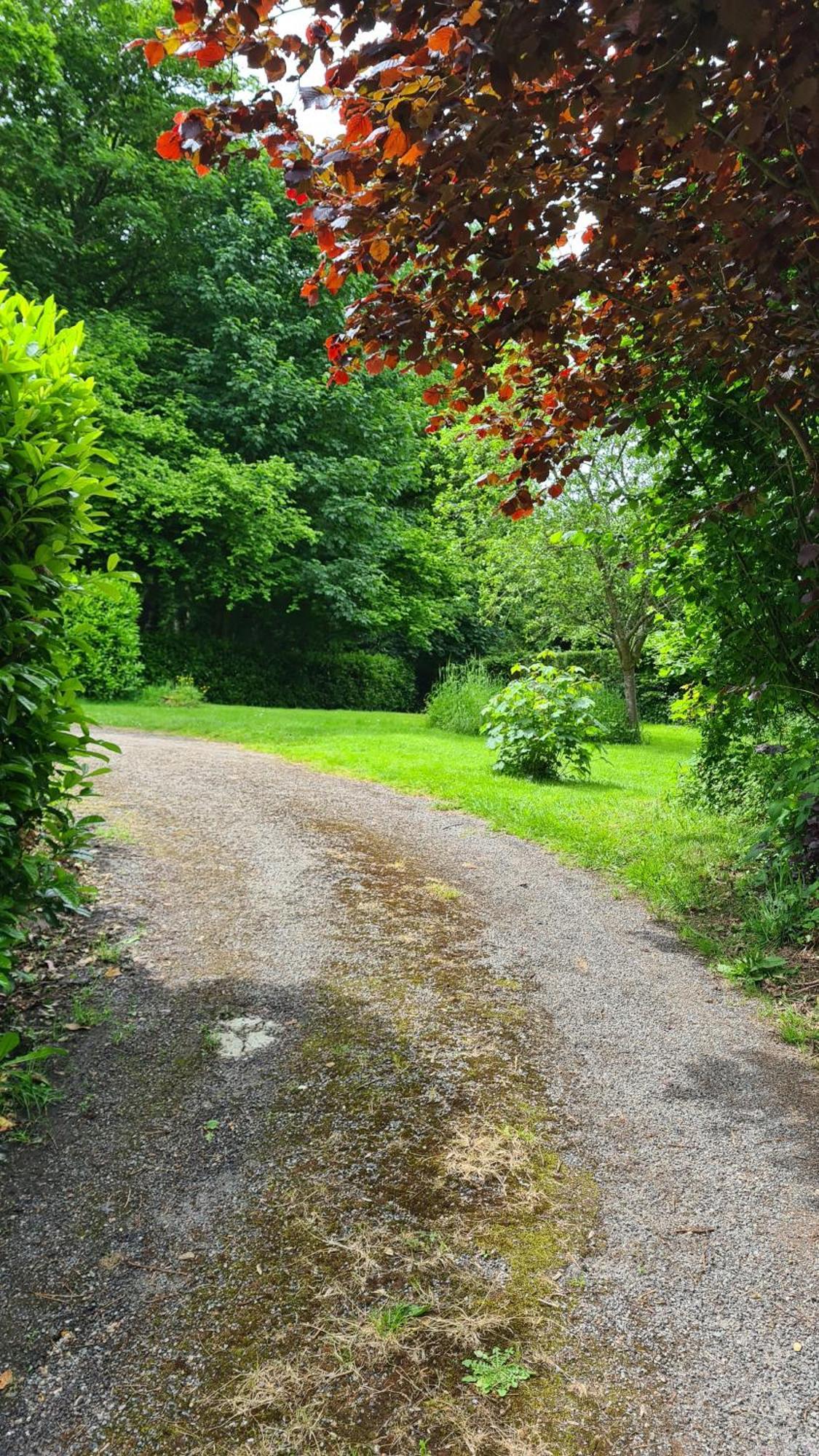 Villa La Taniere Gueures Esterno foto